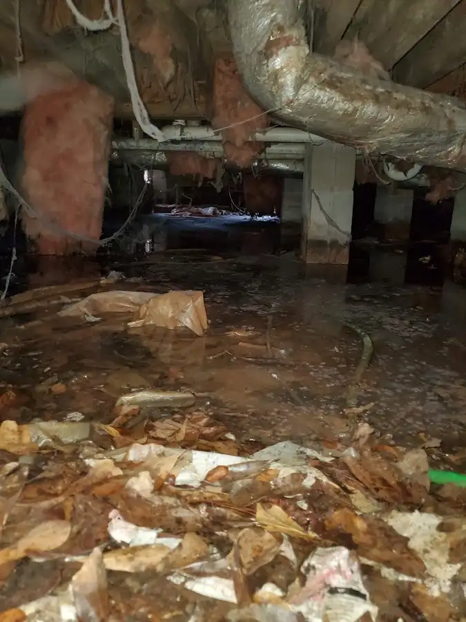 Crawl space flood assessment for Commercial Water Damage Restoration in Manorhaven