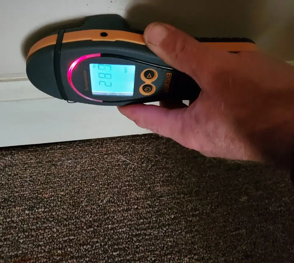 Moisture detection at baseboard during Sewage Cleanup & Sanitation in Manorhaven